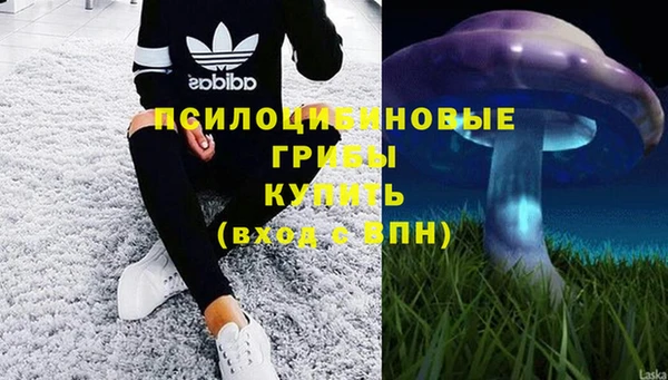 мескалин Алексеевка