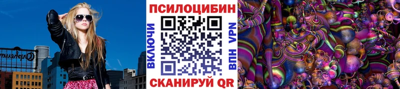 купить наркоту  Калтан  Псилоцибиновые грибы GOLDEN TEACHER 